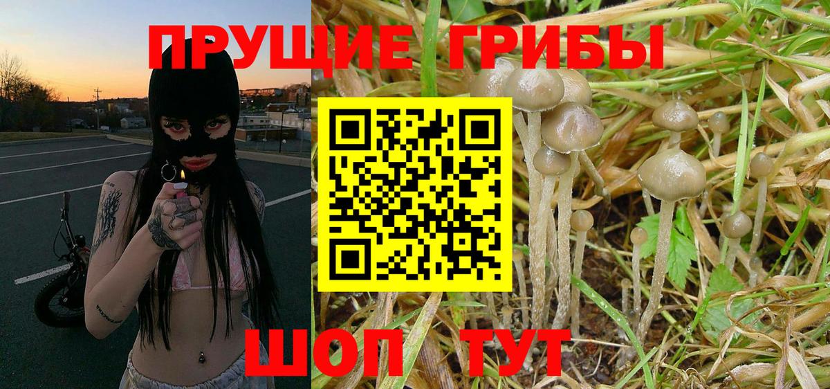 Нижнеудинск  Псилоцибиновые грибы Magic Shrooms  Вход с VPN  Псилоцибиновые грибы MAGIC MUSHROOMS 